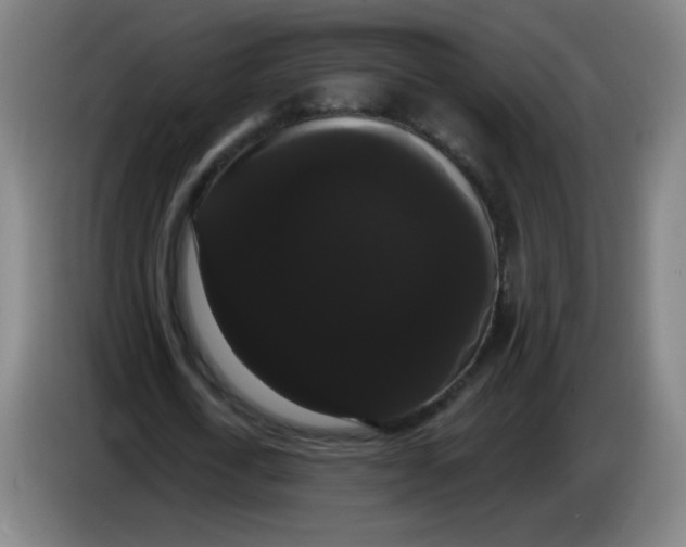 X0000085220722200703301702