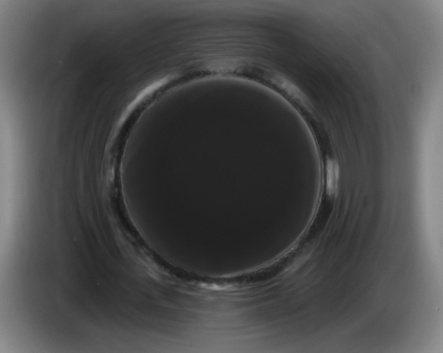 X0000085220723200703301702