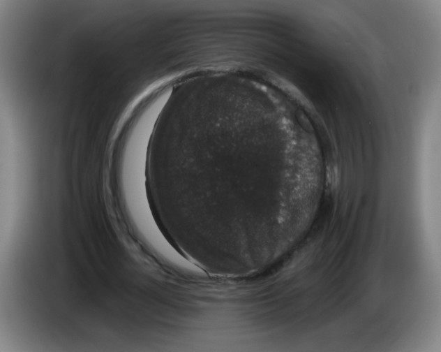 X0000085220724200703301702