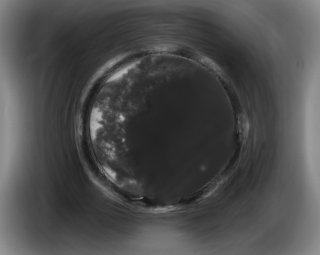 X0000085220726200703301703