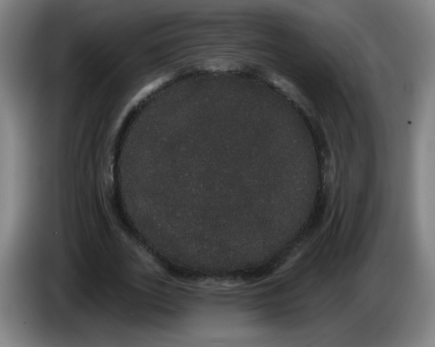 X0000085220727200703301703