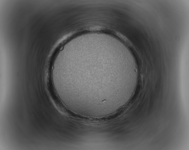 X0000085220728200703301703