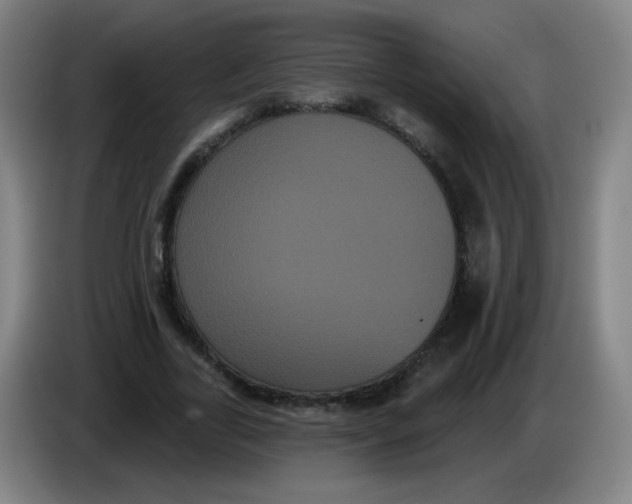 X0000085220731200703301703