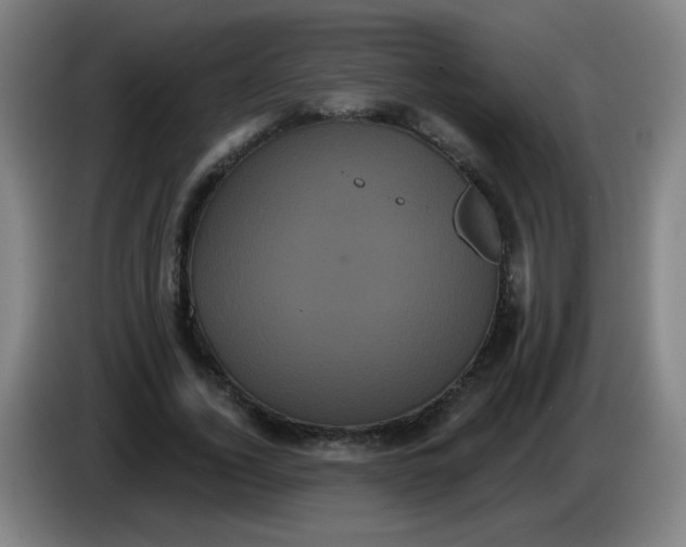 X0000085220732200703301703