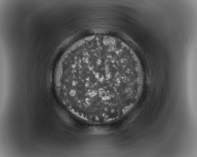 X0000085220733200703301703