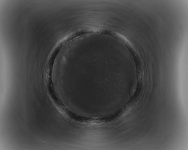 X0000085220736200703301703