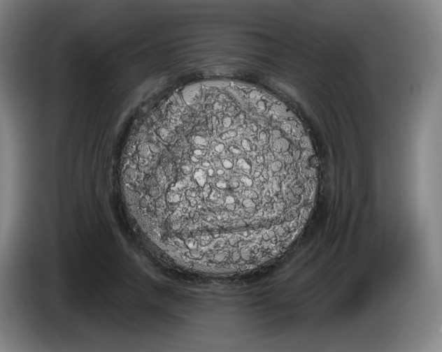X0000085220738200703301703