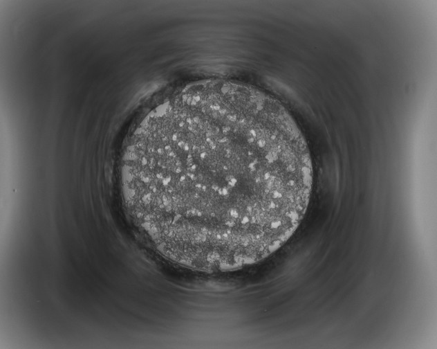 X0000085220739200703301703