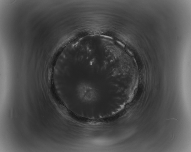X0000085220742200703301703