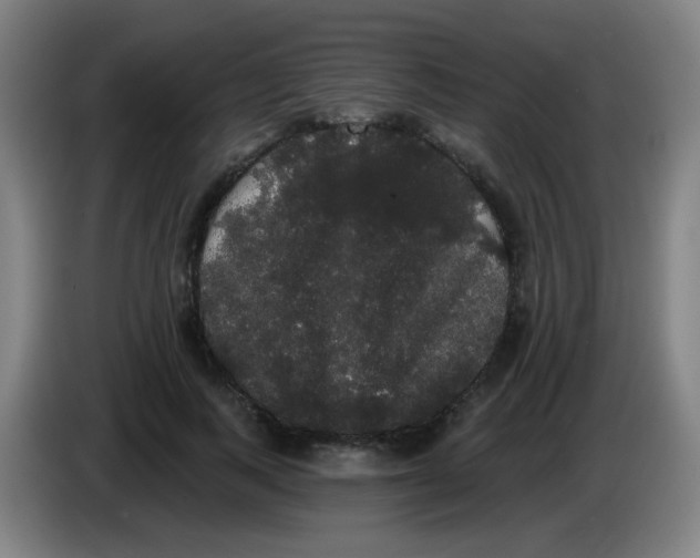 X0000085220743200703301703