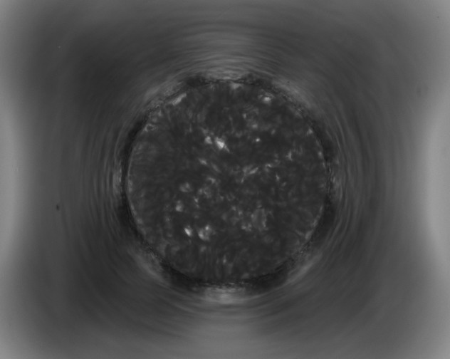 X0000085220745200703301703