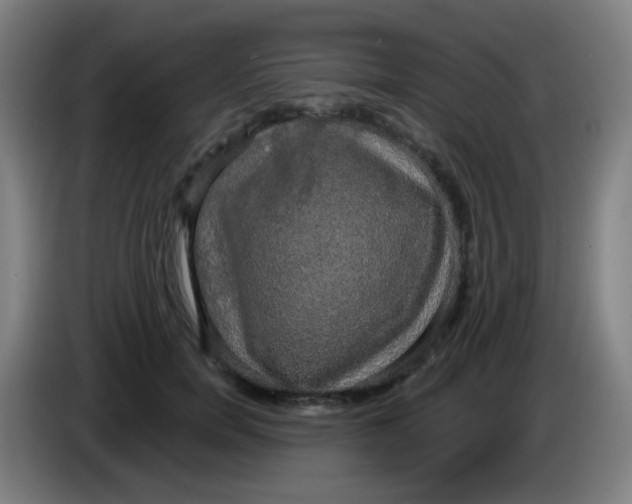 X0000085220750200703301703