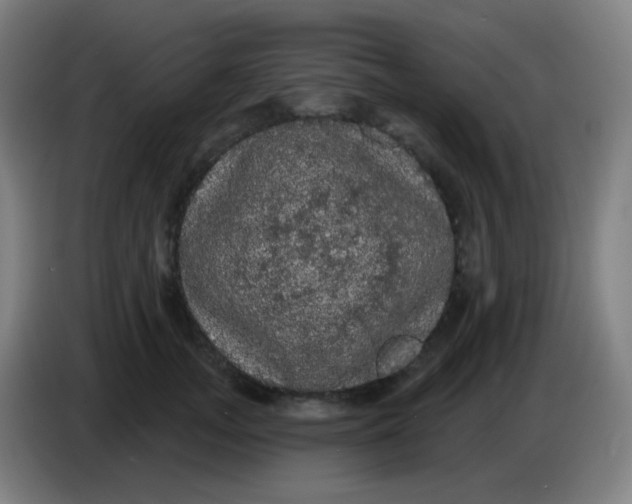 X0000085220755200703301703