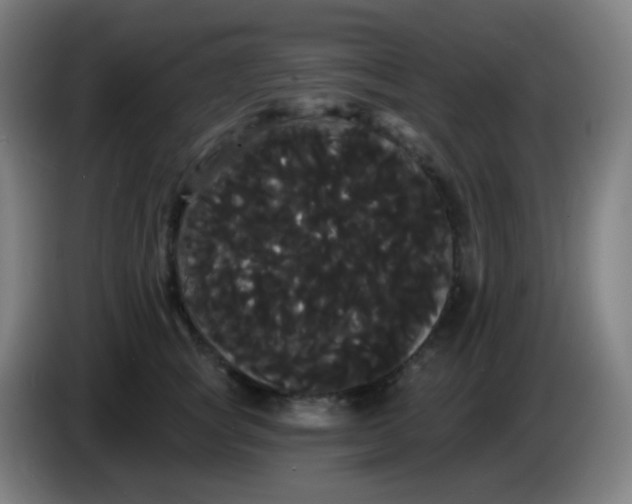X0000085220757200703301703