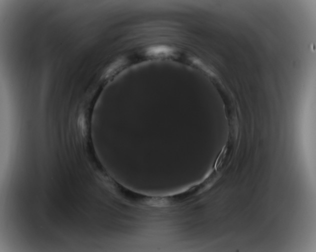 X0000085220762200703301703