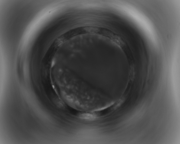 X0000085220765200703301703