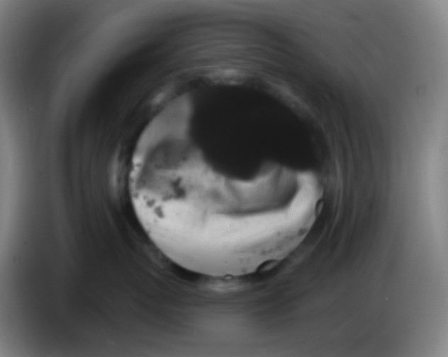 X0000085220767200703301703