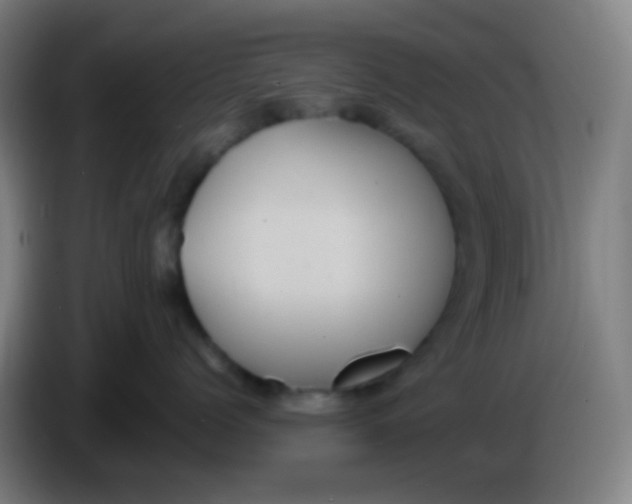 X0000085220768200703301703