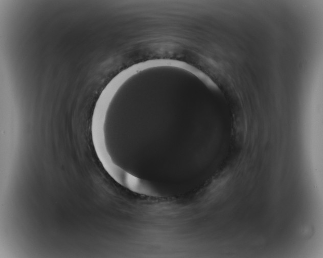 X0000085220769200703301702