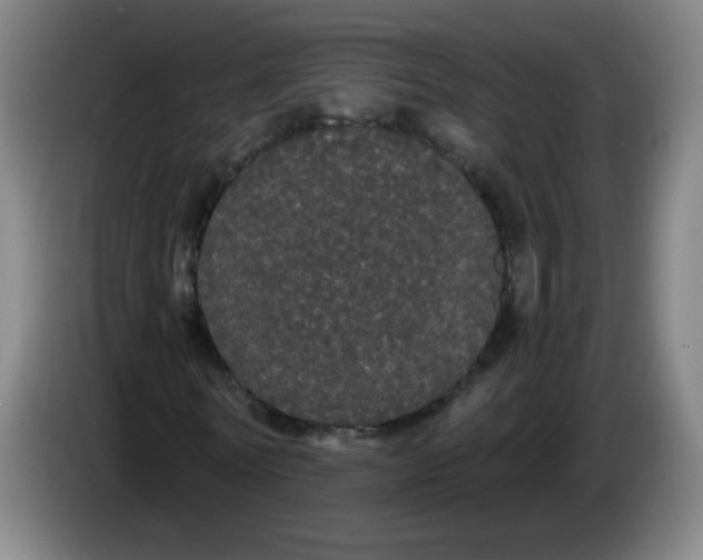 X0000085220770200703301702