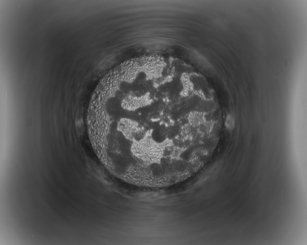 X0000085220771200703301702