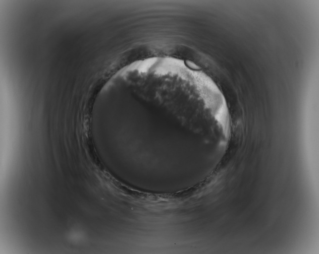 X0000085220772200703301702