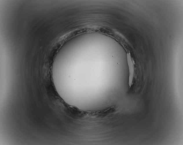 X0000085220773200703301702