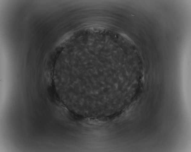 X0000085220774200703301702