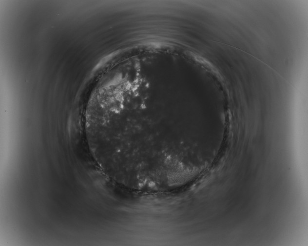 X0000085220776200703301702