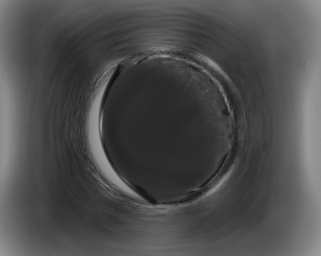 X0000085220777200703301702