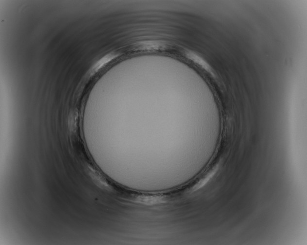 X0000085220778200703301702