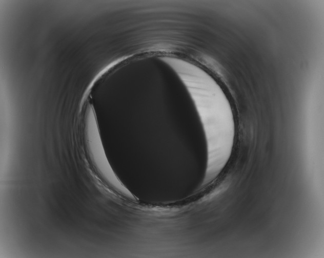 X0000085220779200703301702
