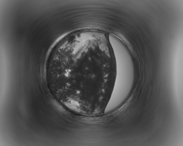 X0000085220780200703301702
