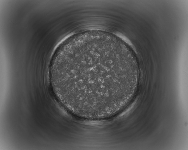 X0000085220782200703301702