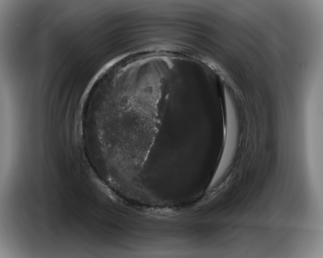 X0000085220784200703301702