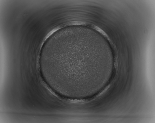 X0000085220786200703301702