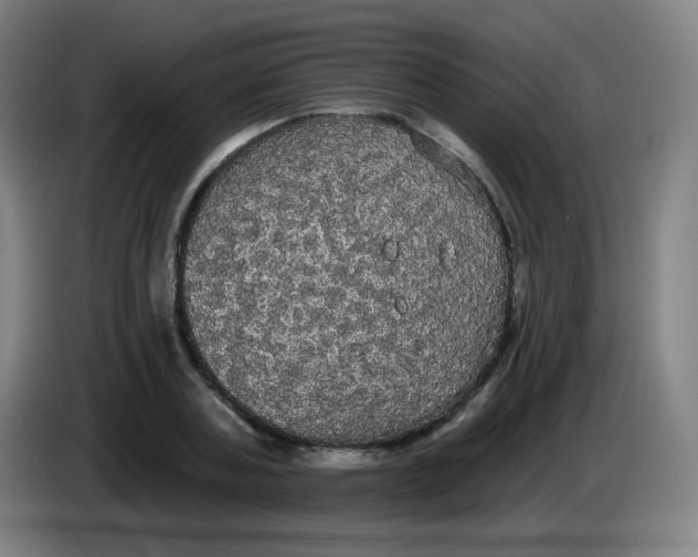 X0000085220787200703301702