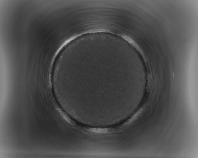 X0000085220789200703301702
