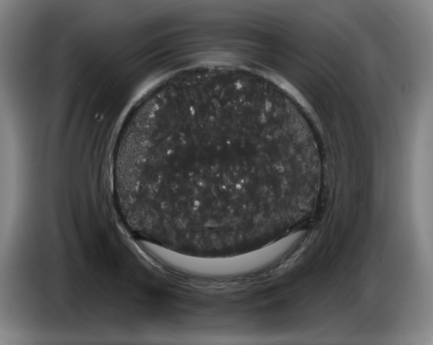 X0000085220791200703301702
