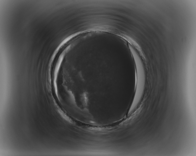 X0000085220792200703301702
