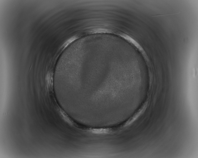 X0000085220793200703301702