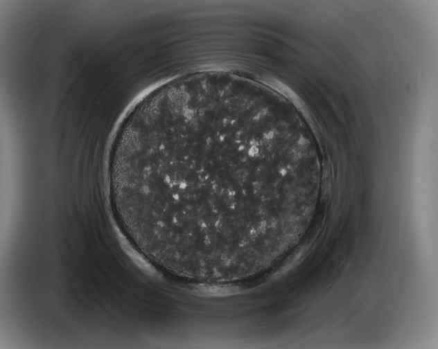 X0000085220795200703301702
