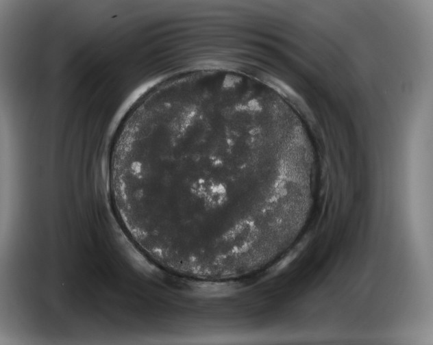 X0000085220796200703301702