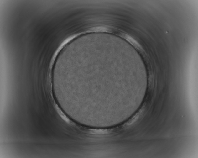 X0000085220800200703301702
