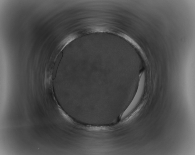 X0000085220801200703301702