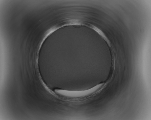 X0000085220805200703301702