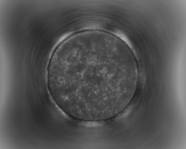 X0000085220807200703301702