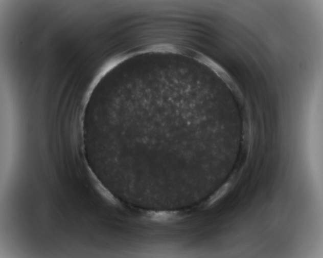 X0000085220808200703301702