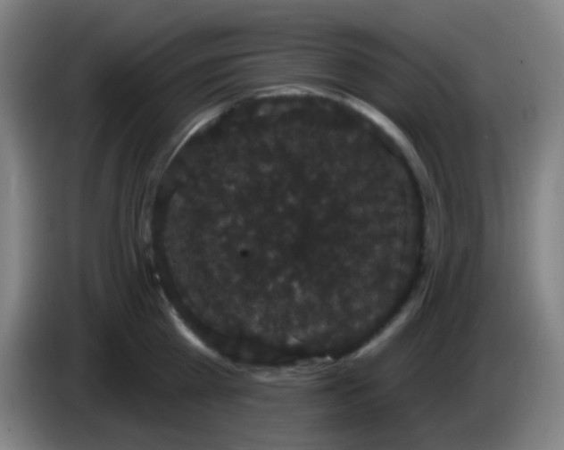 X0000085220809200703301702