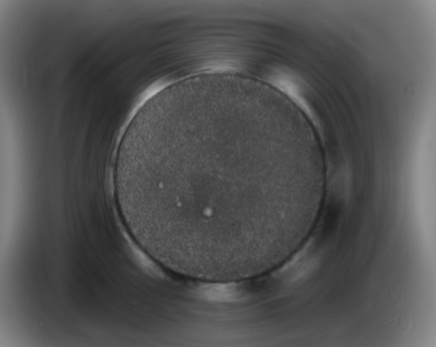 X0000085220810200703301702